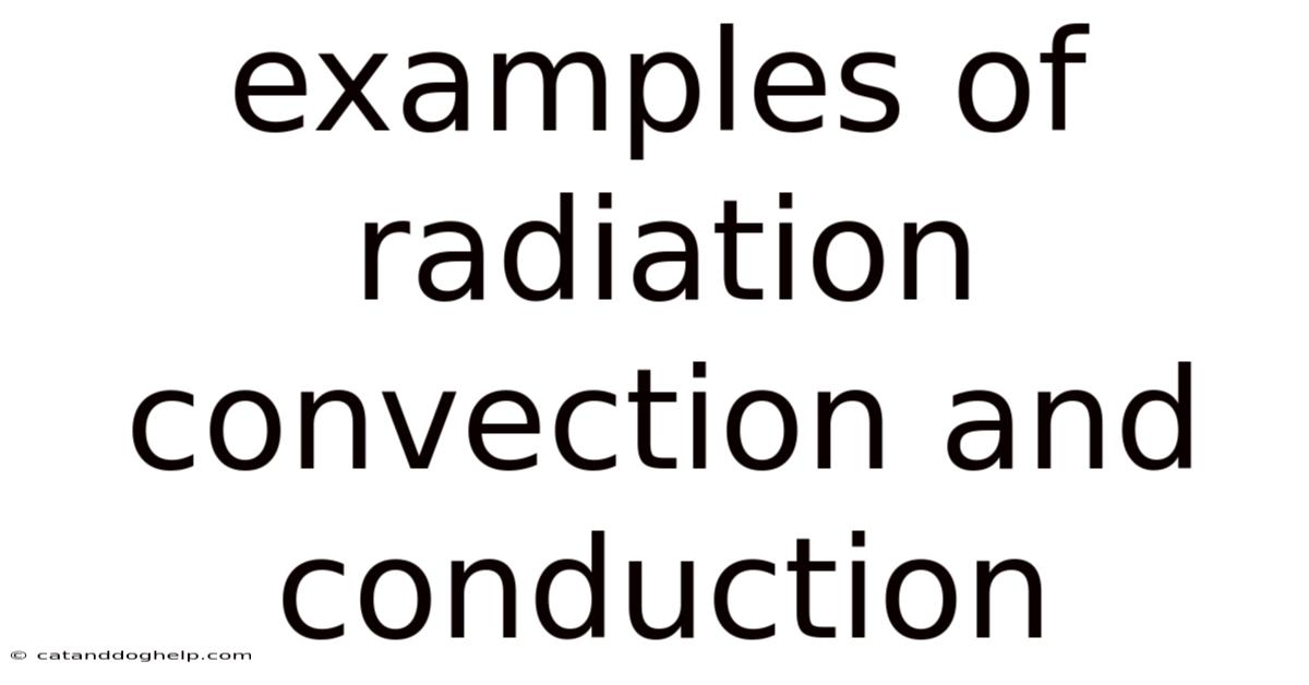 Examples Of Radiation Convection And Conduction