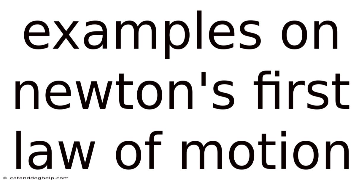 Examples On Newton's First Law Of Motion