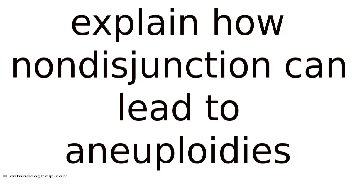 Explain How Nondisjunction Can Lead To Aneuploidies