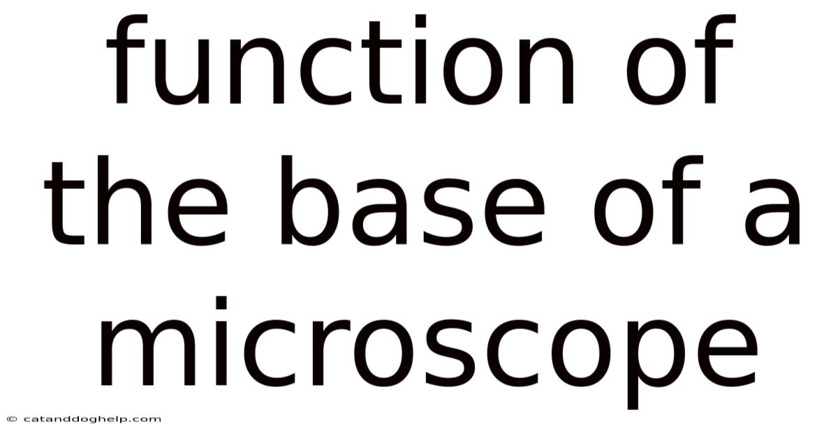 Function Of The Base Of A Microscope
