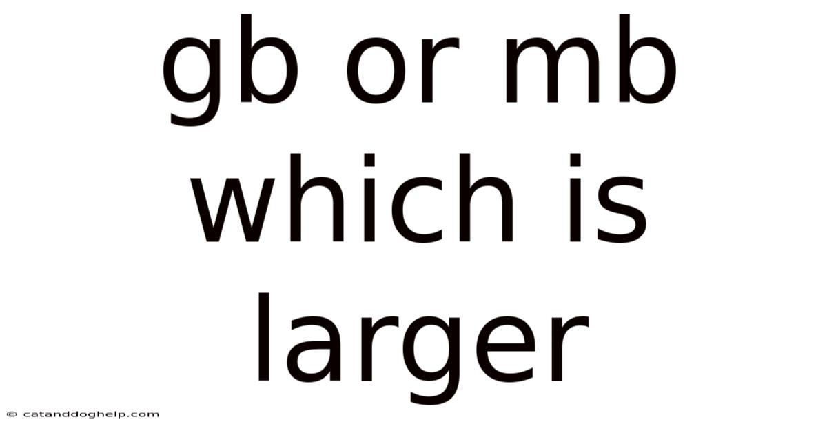 Gb Or Mb Which Is Larger