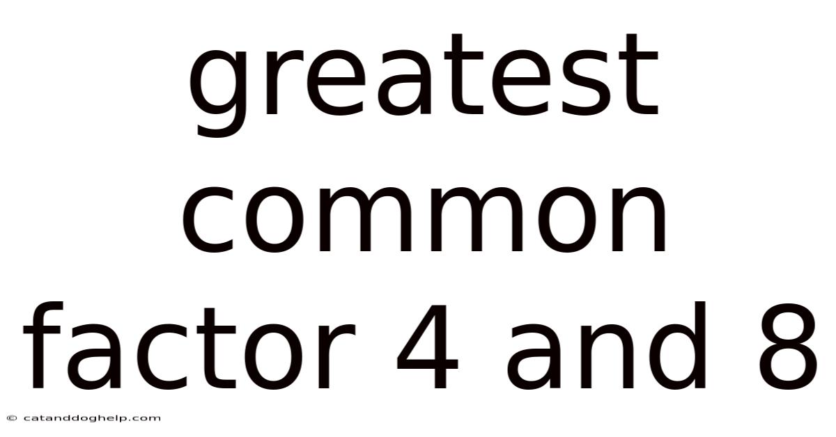 Greatest Common Factor 4 And 8