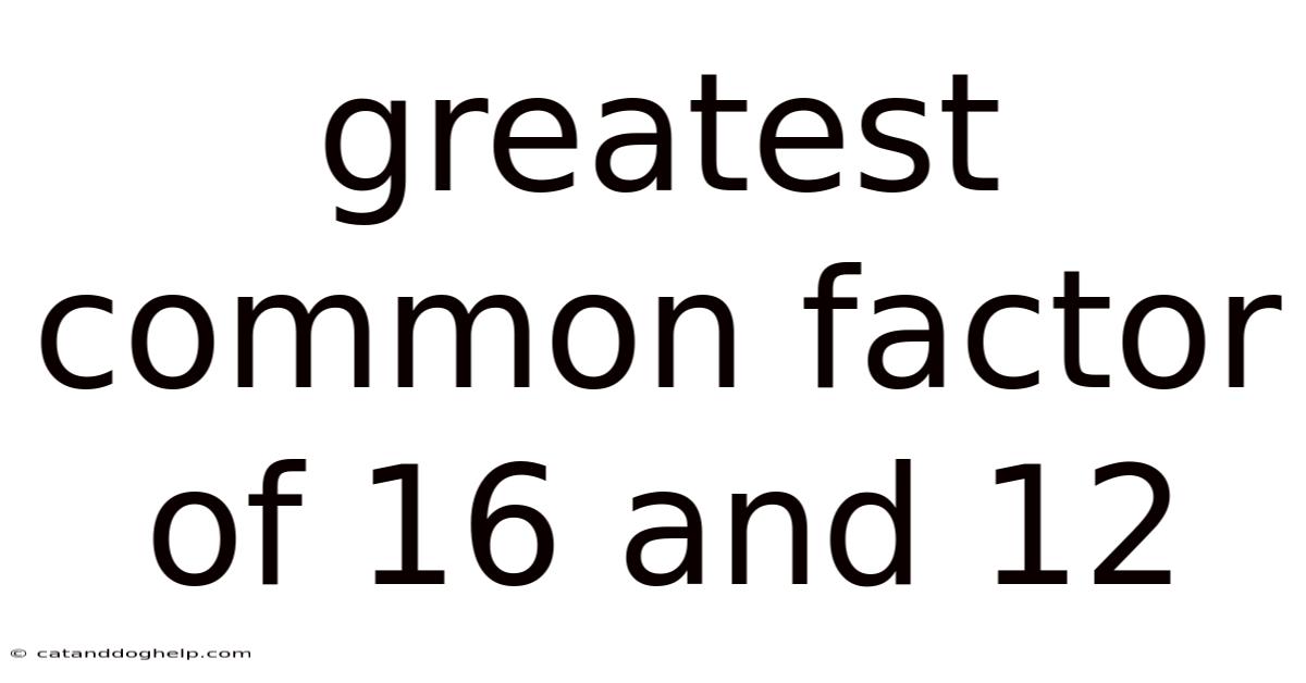 Greatest Common Factor Of 16 And 12