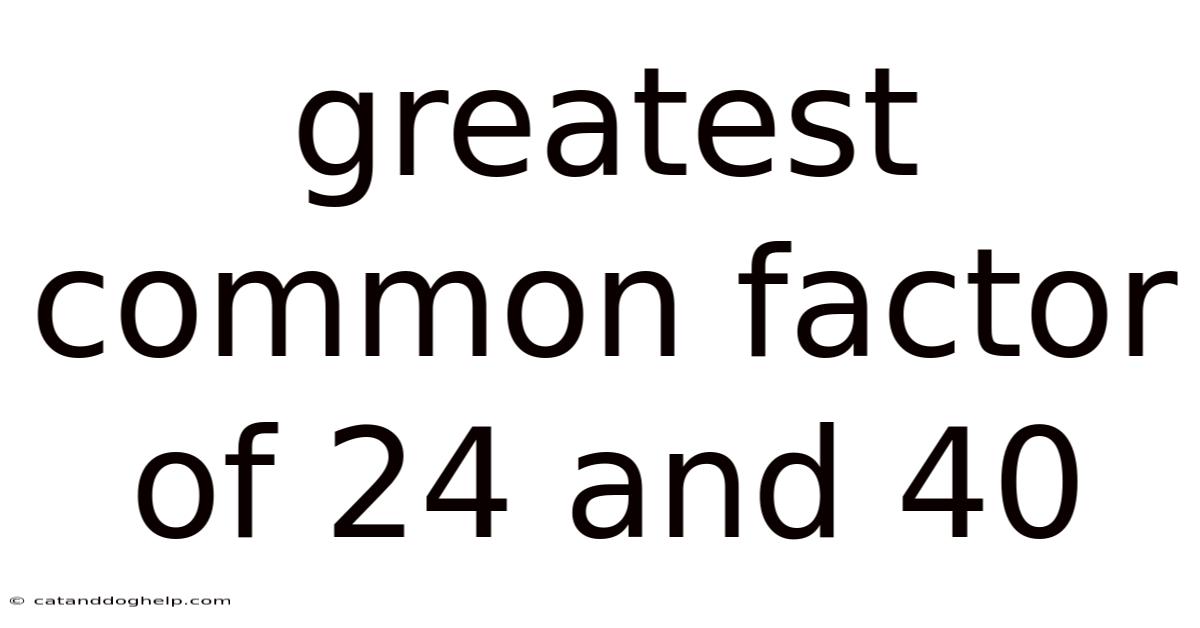 Greatest Common Factor Of 24 And 40