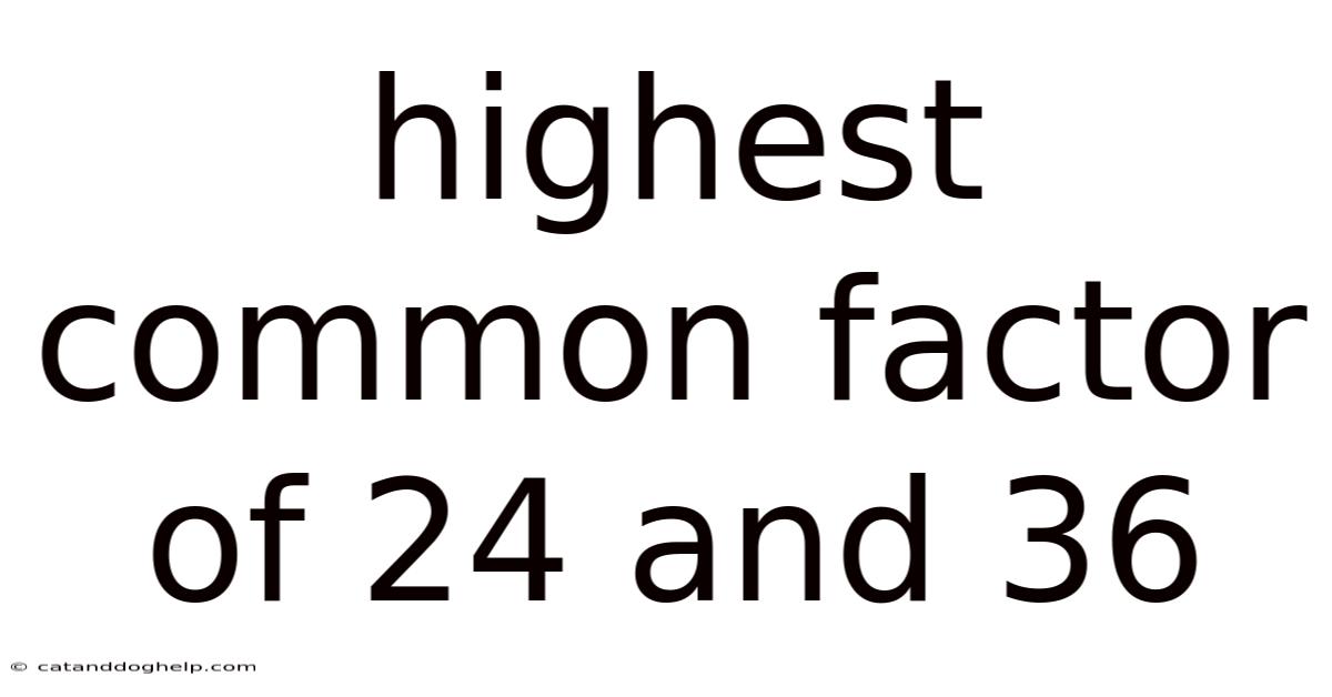 Highest Common Factor Of 24 And 36