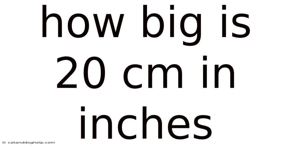 How Big Is 20 Cm In Inches