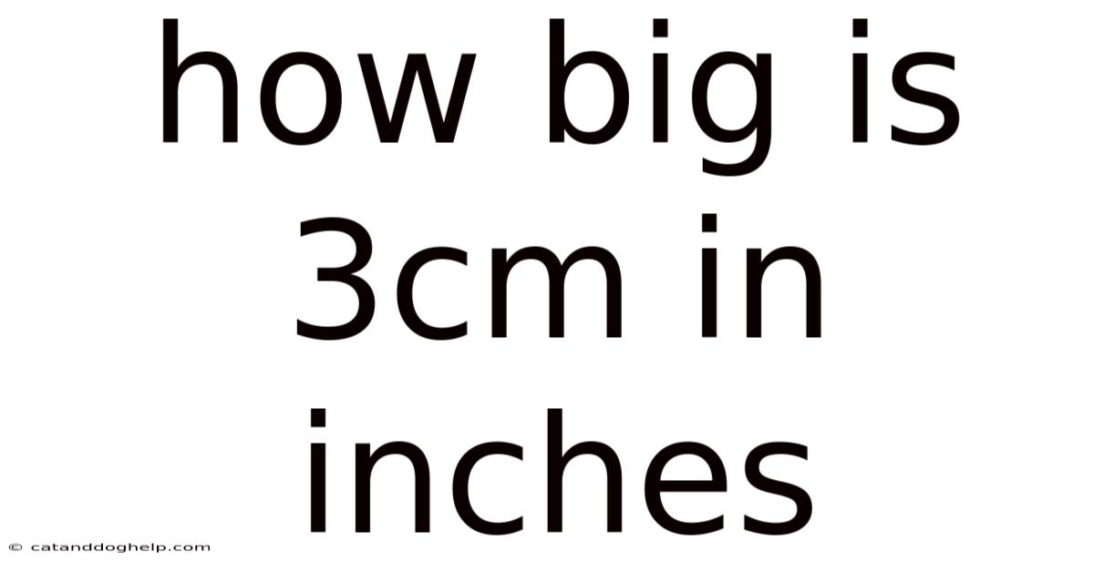 How Big Is 3cm In Inches