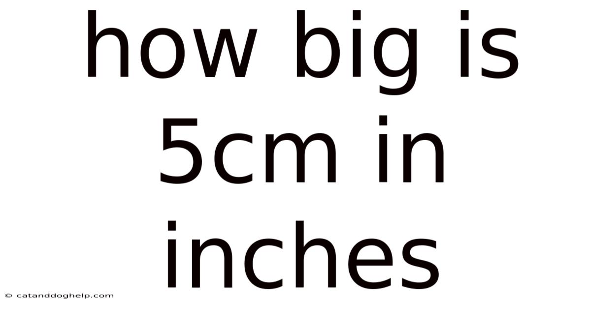 How Big Is 5cm In Inches