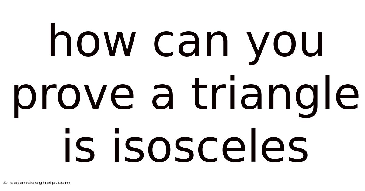How Can You Prove A Triangle Is Isosceles