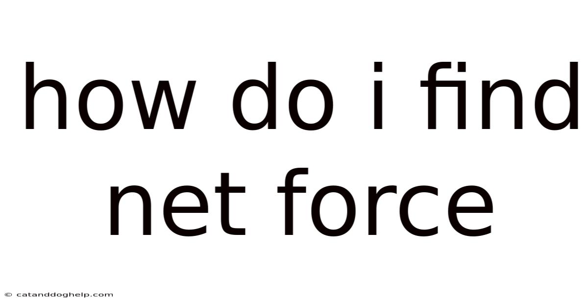 How Do I Find Net Force