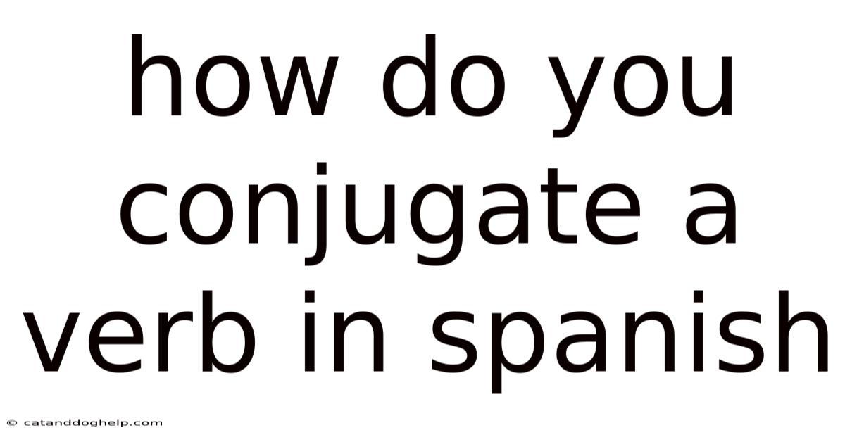 How Do You Conjugate A Verb In Spanish