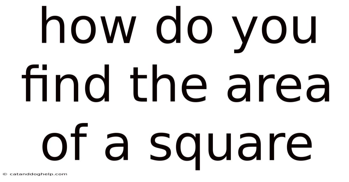 How Do You Find The Area Of A Square