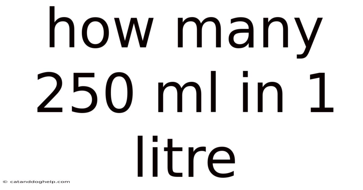 How Many 250 Ml In 1 Litre