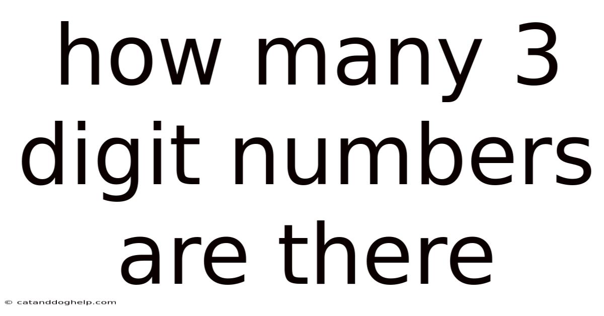 How Many 3 Digit Numbers Are There