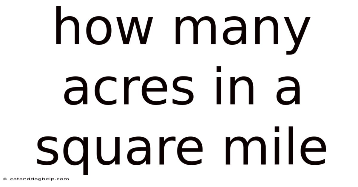 How Many Acres In A Square Mile