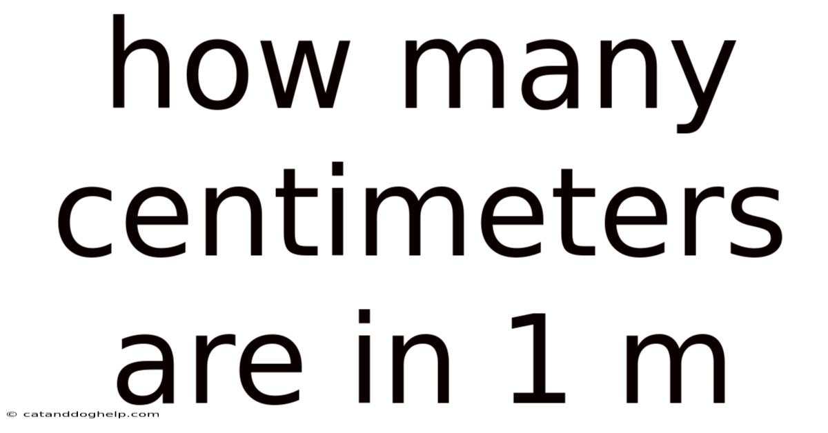 How Many Centimeters Are In 1 M