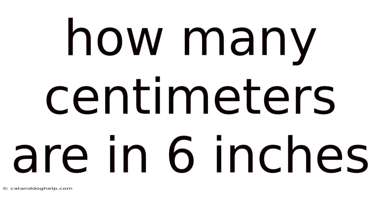 How Many Centimeters Are In 6 Inches