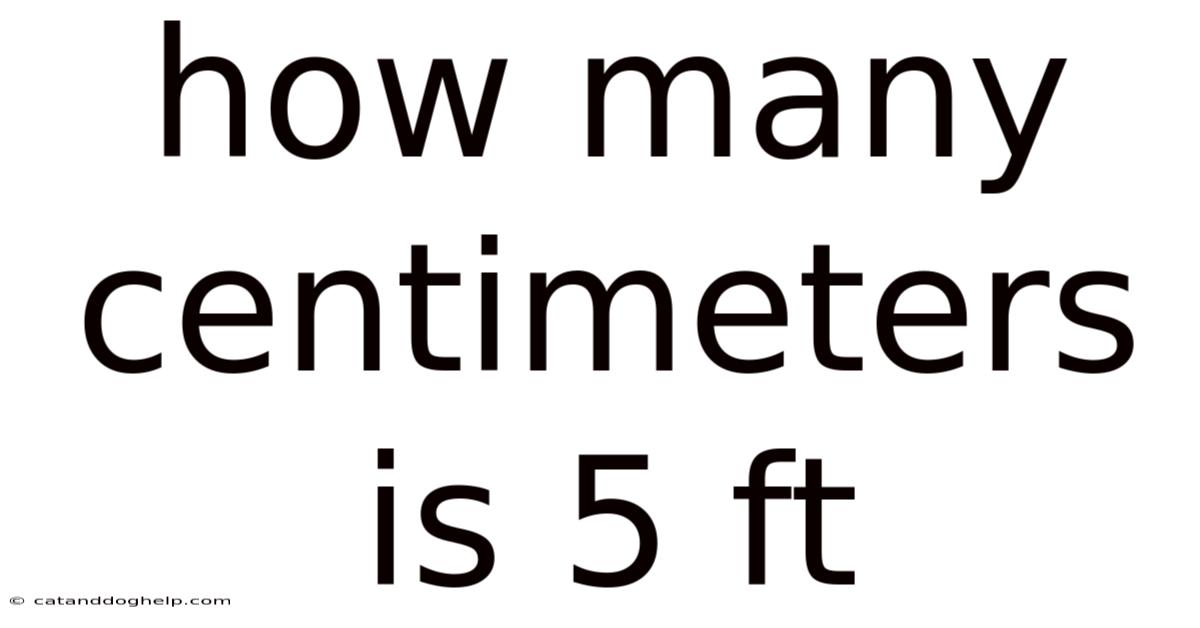 How Many Centimeters Is 5 Ft