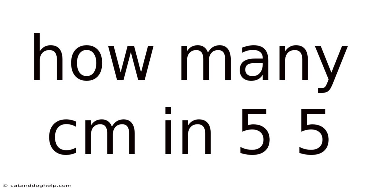 How Many Cm In 5 5