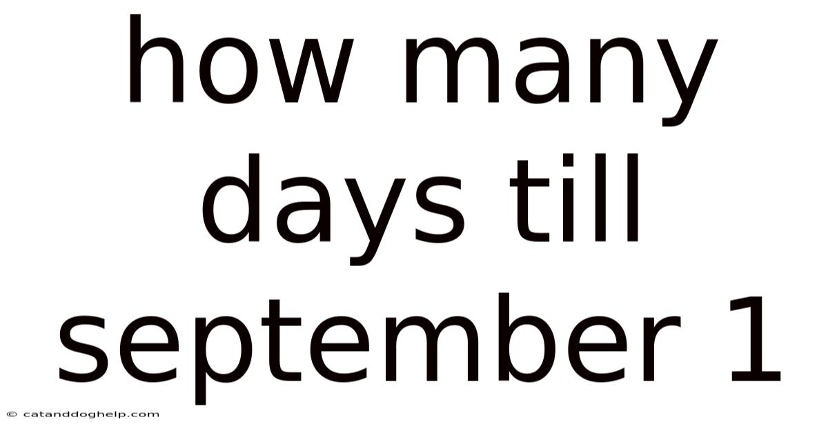 How Many Days Till September 1