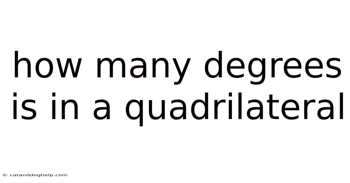 How Many Degrees Is In A Quadrilateral