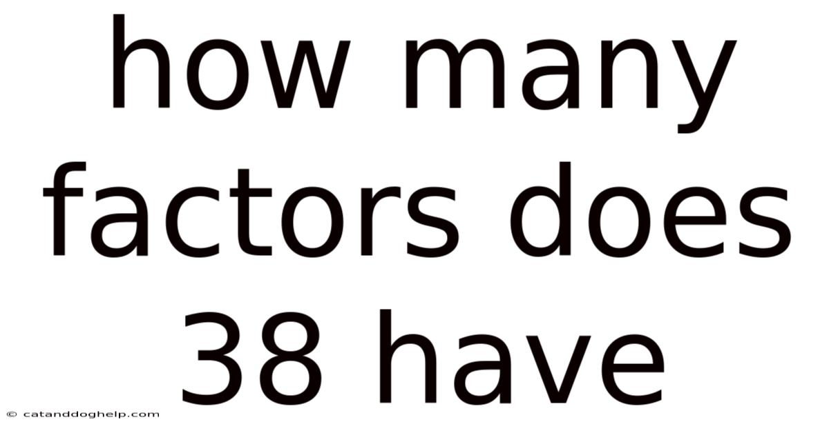 How Many Factors Does 38 Have