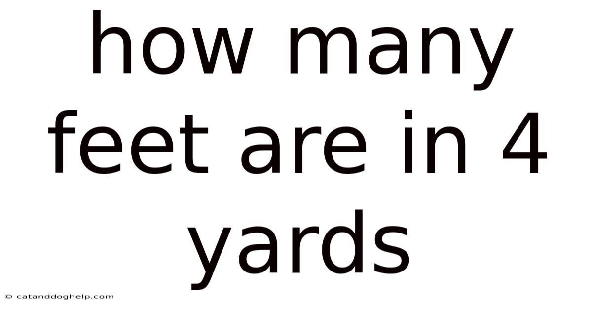 How Many Feet Are In 4 Yards