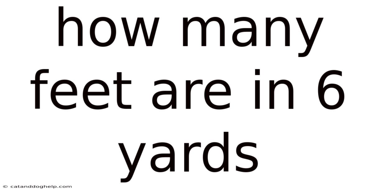 How Many Feet Are In 6 Yards