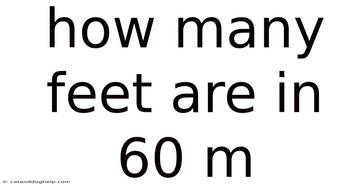 How Many Feet Are In 60 M