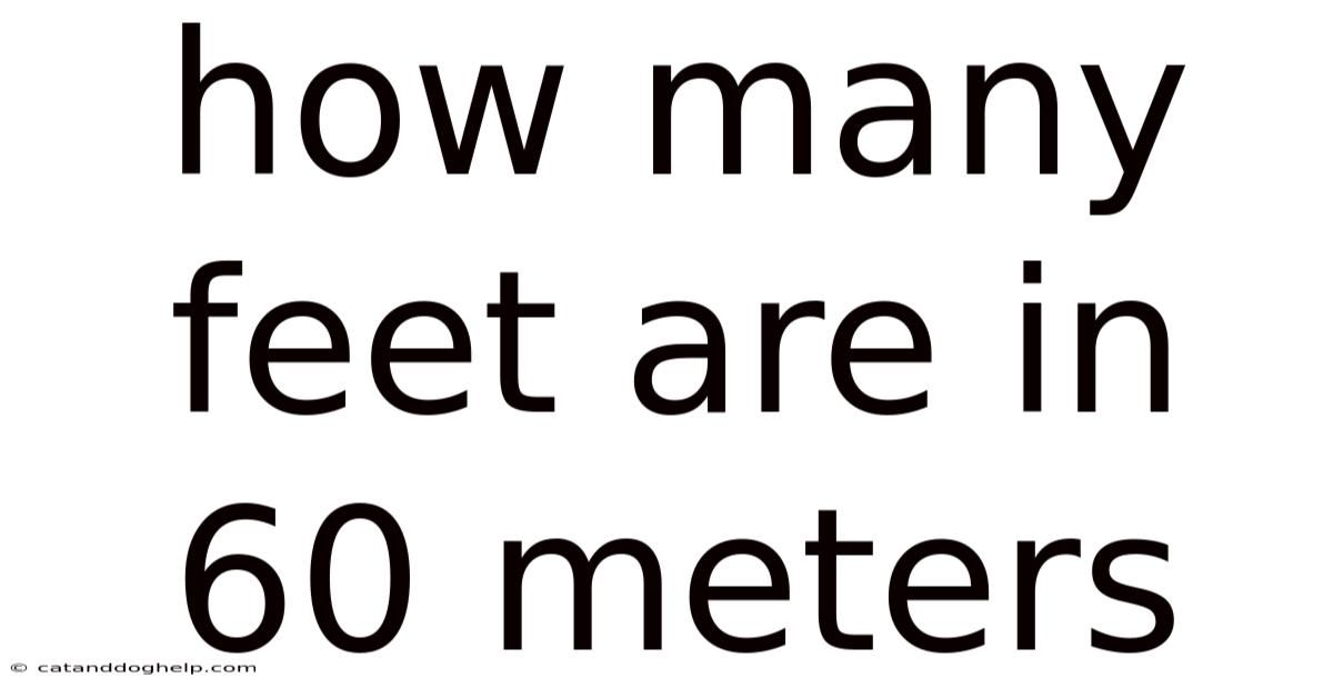 How Many Feet Are In 60 Meters