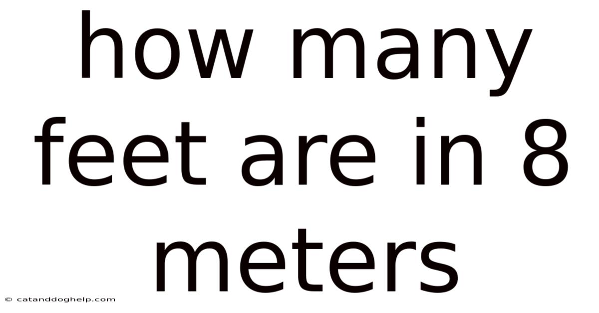 How Many Feet Are In 8 Meters
