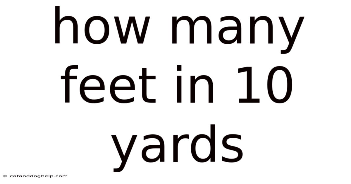 How Many Feet In 10 Yards