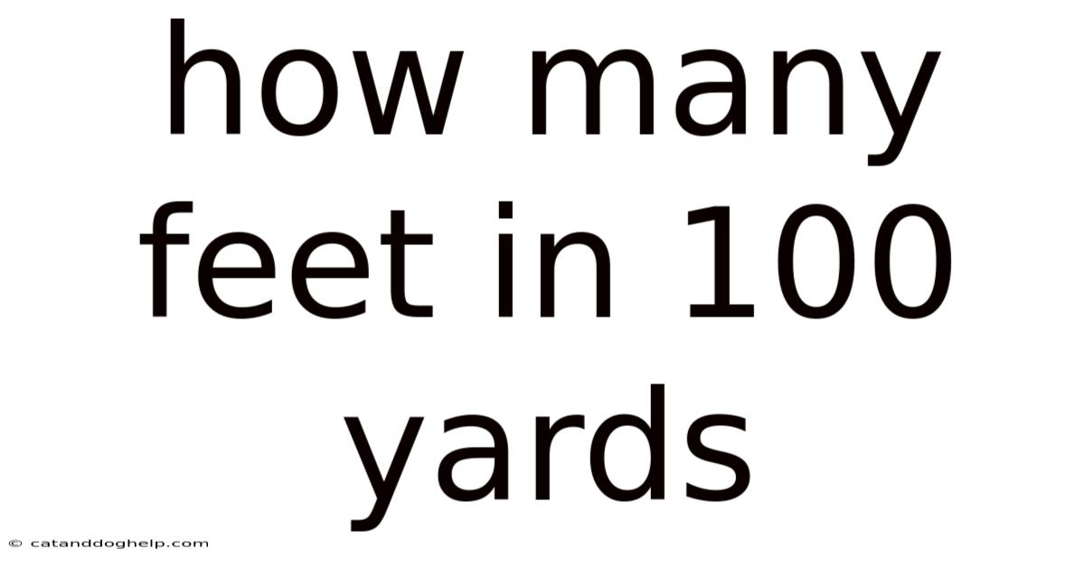 How Many Feet In 100 Yards