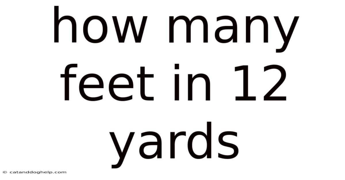 How Many Feet In 12 Yards