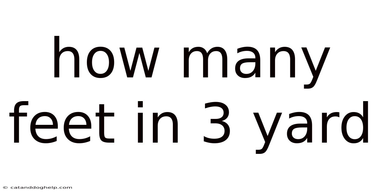 How Many Feet In 3 Yard