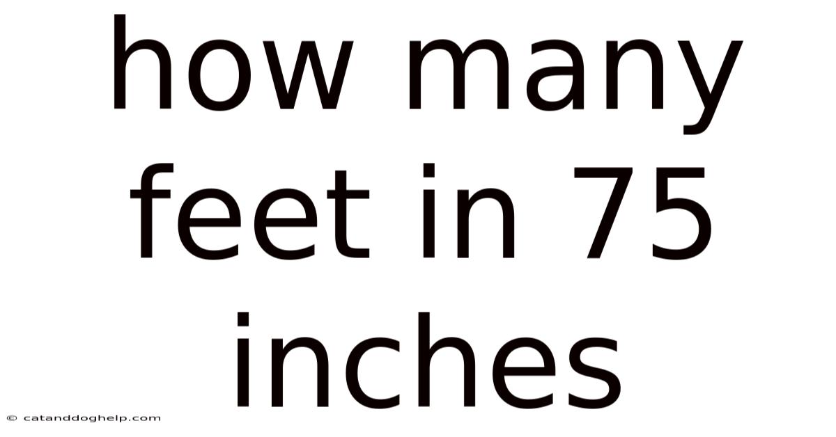 How Many Feet In 75 Inches