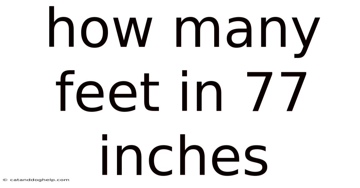 How Many Feet In 77 Inches