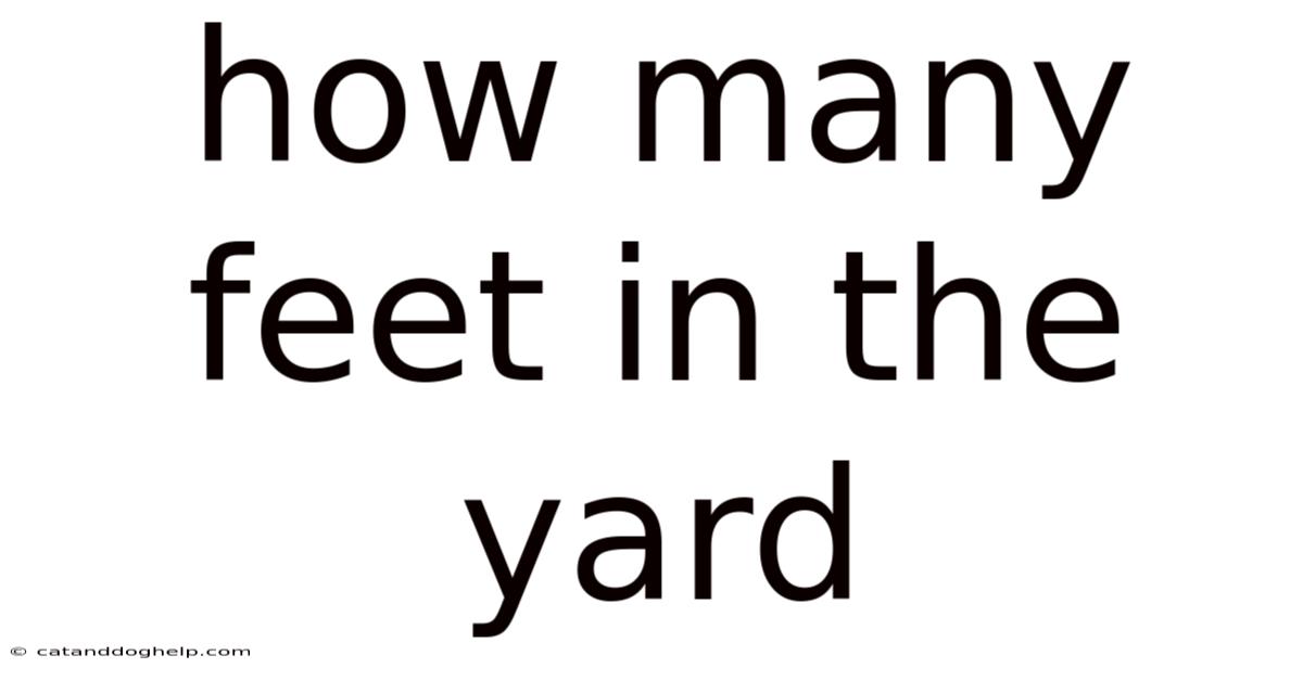 How Many Feet In The Yard