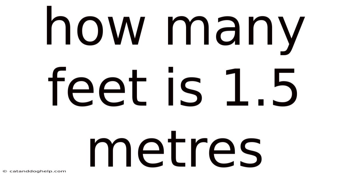 How Many Feet Is 1.5 Metres