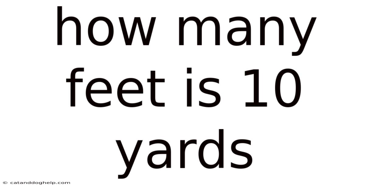 How Many Feet Is 10 Yards