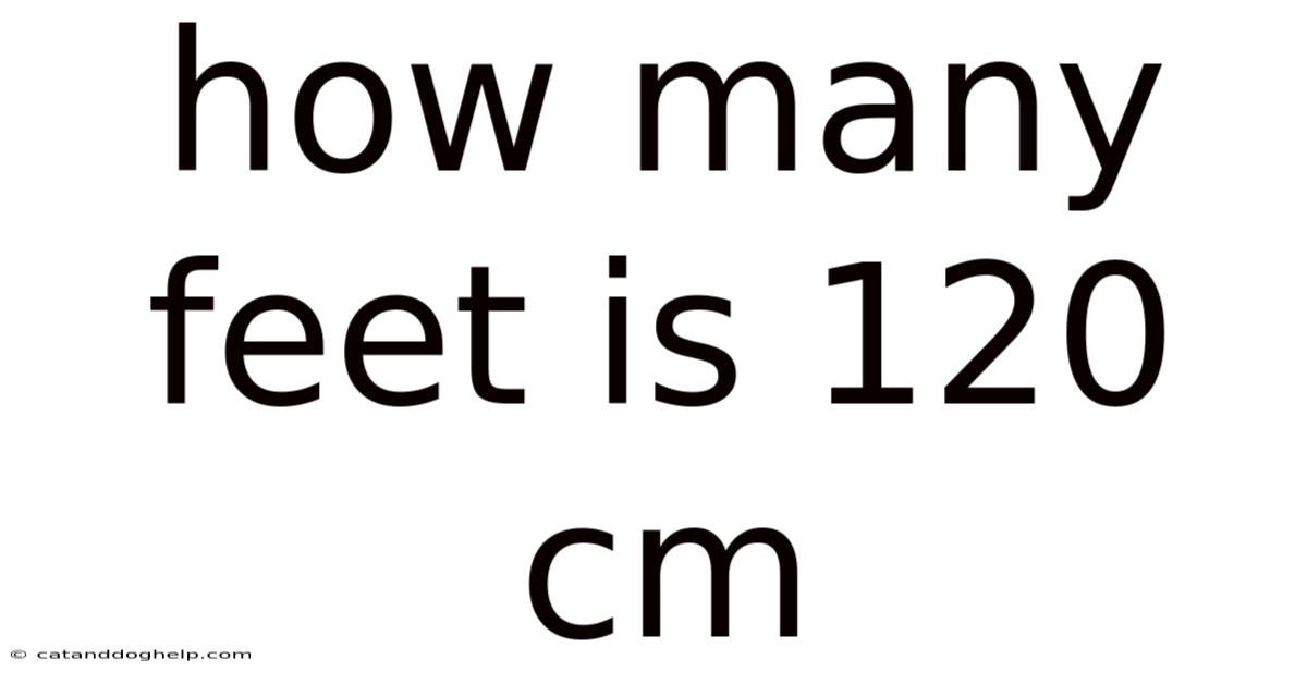 How Many Feet Is 120 Cm