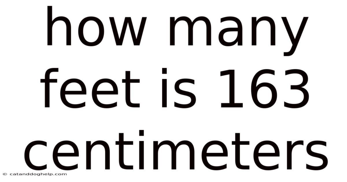 How Many Feet Is 163 Centimeters