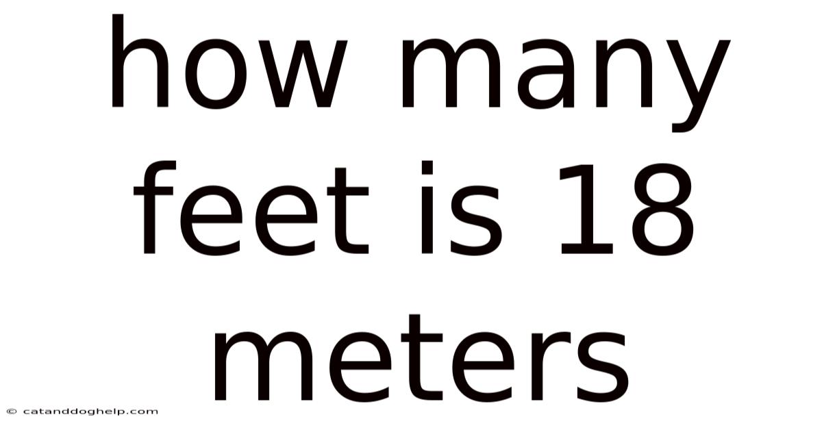 How Many Feet Is 18 Meters