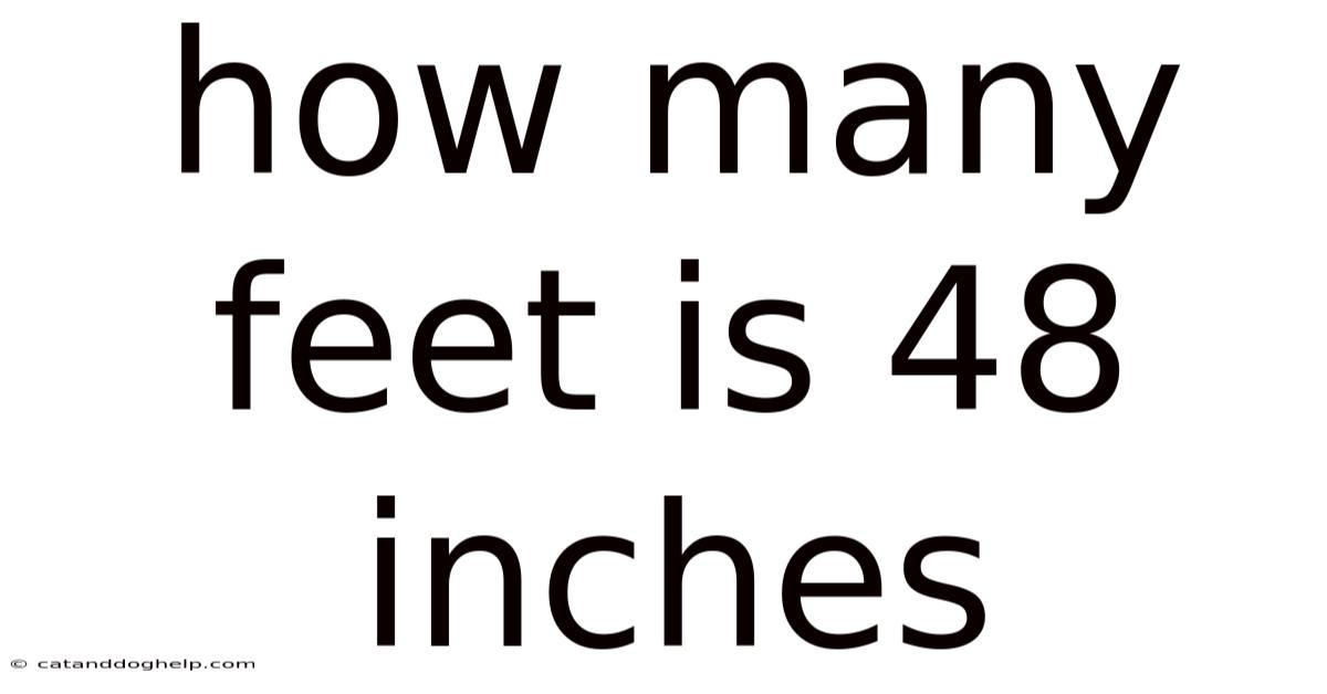 How Many Feet Is 48 Inches