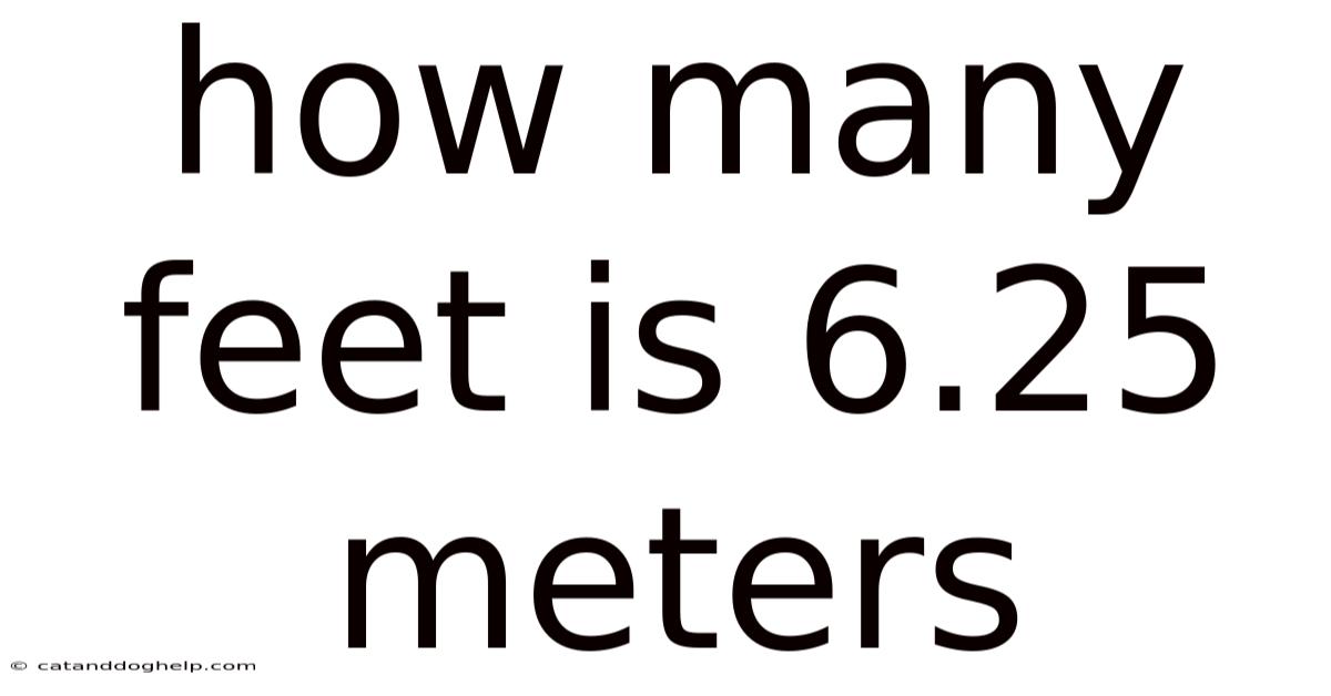 How Many Feet Is 6.25 Meters