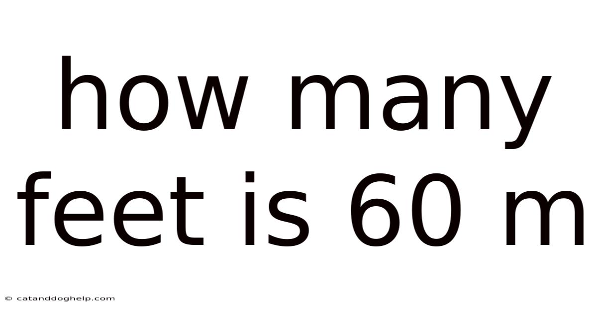 How Many Feet Is 60 M