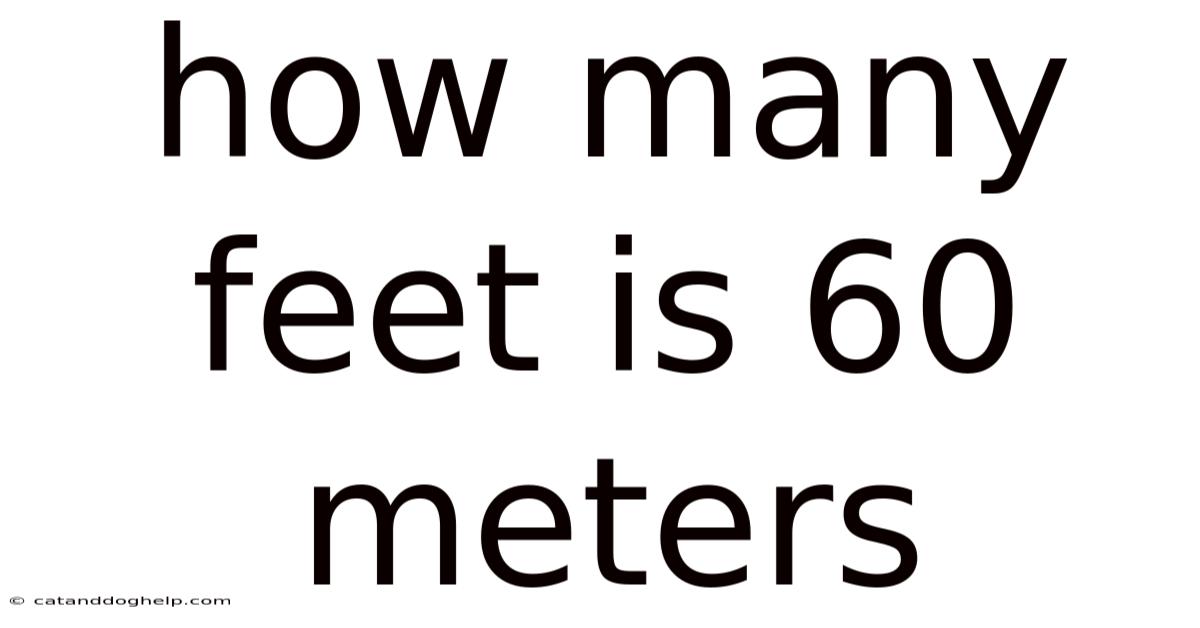 How Many Feet Is 60 Meters