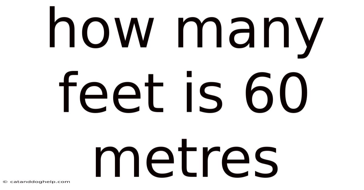 How Many Feet Is 60 Metres
