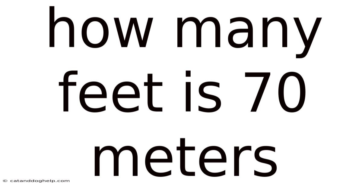 How Many Feet Is 70 Meters