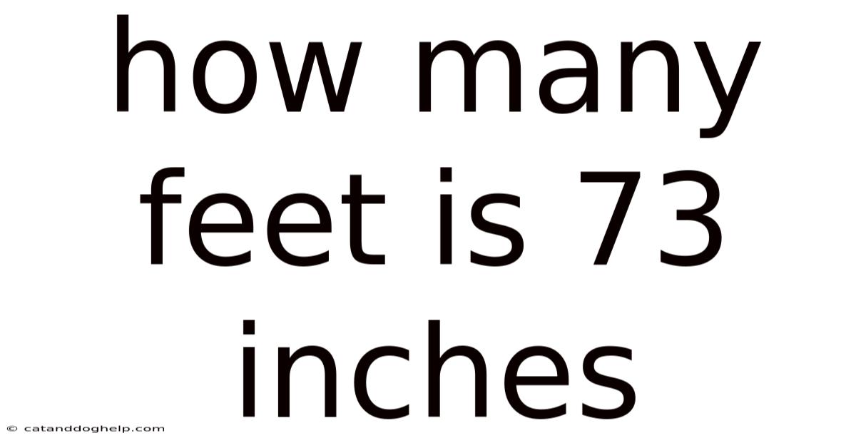 How Many Feet Is 73 Inches